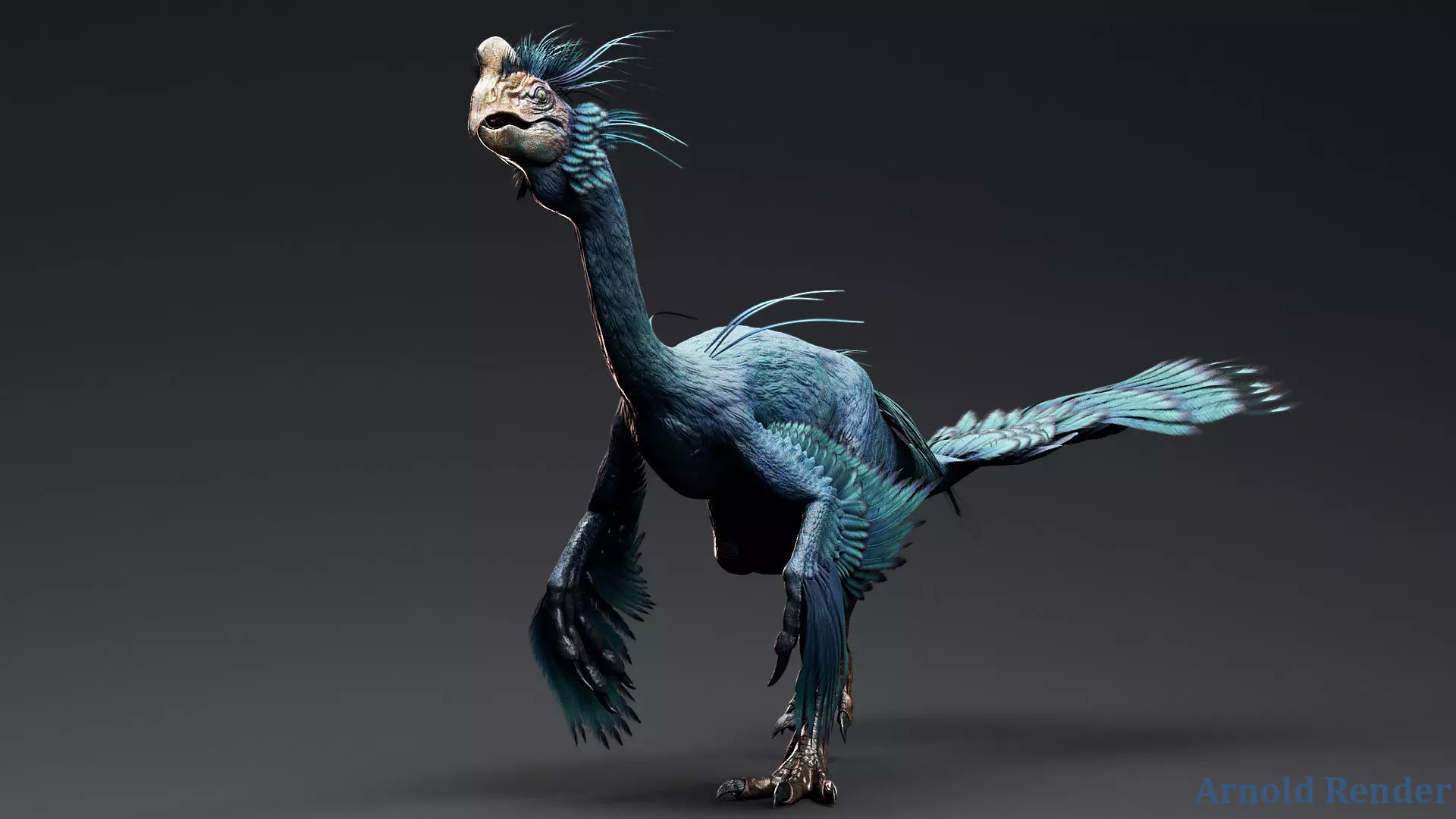 Dinosaur GigantoRaptor - Oviraptorosaur Unity Engine Project Low-poly 3D model_4