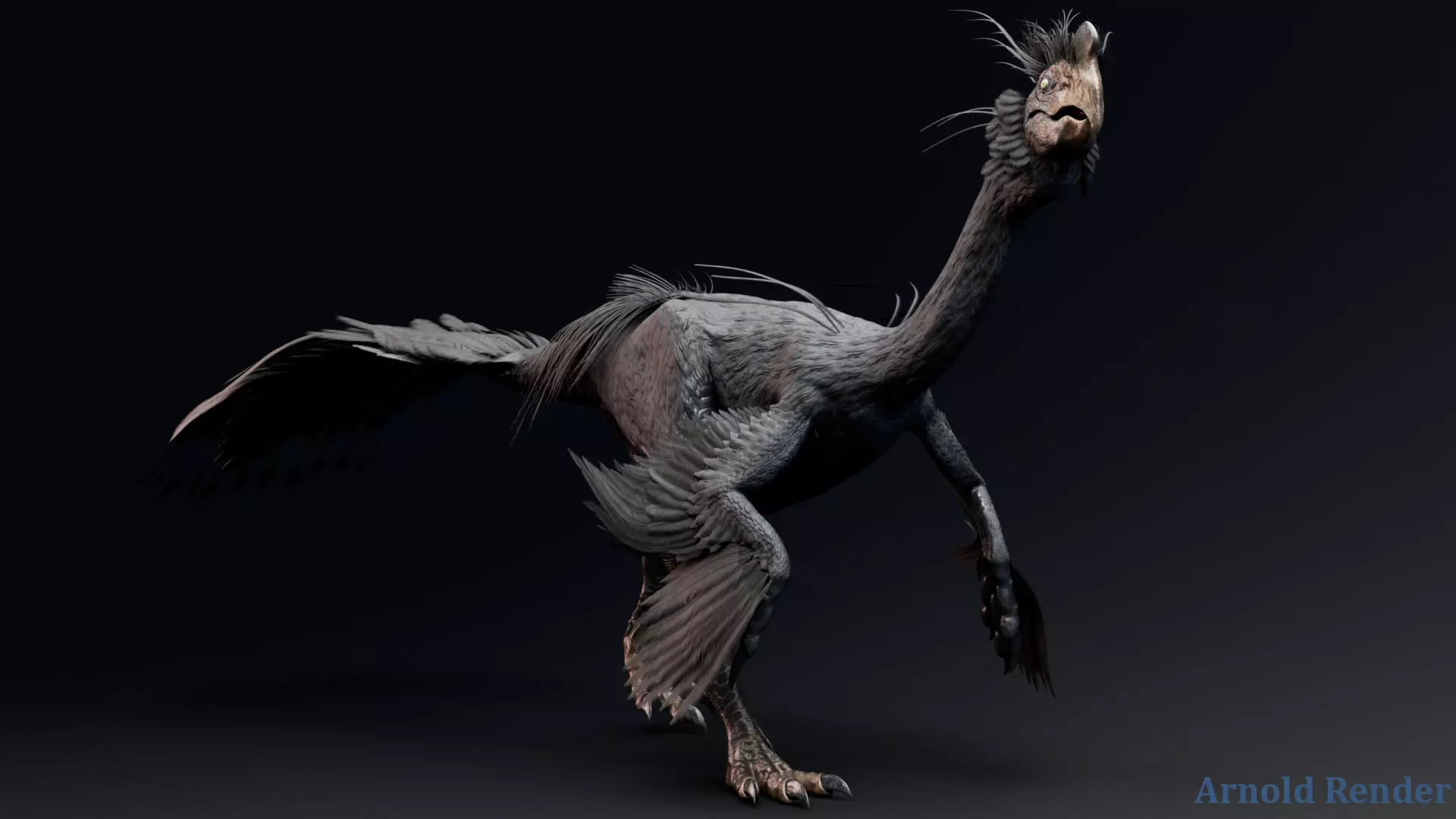 Dinosaur GigantoRaptor - Oviraptorosaur Unity Engine Project Low-poly 3D model_3