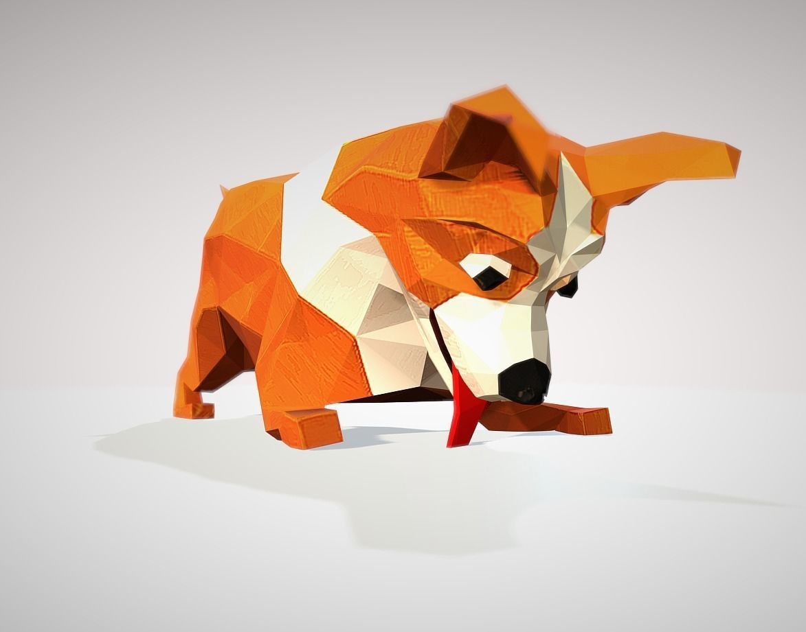 Dog corgi Low-poly 3D model_12