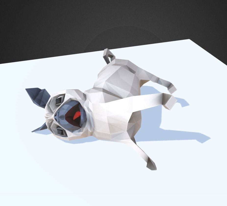 Dog Pug Low-poly 3D model_1