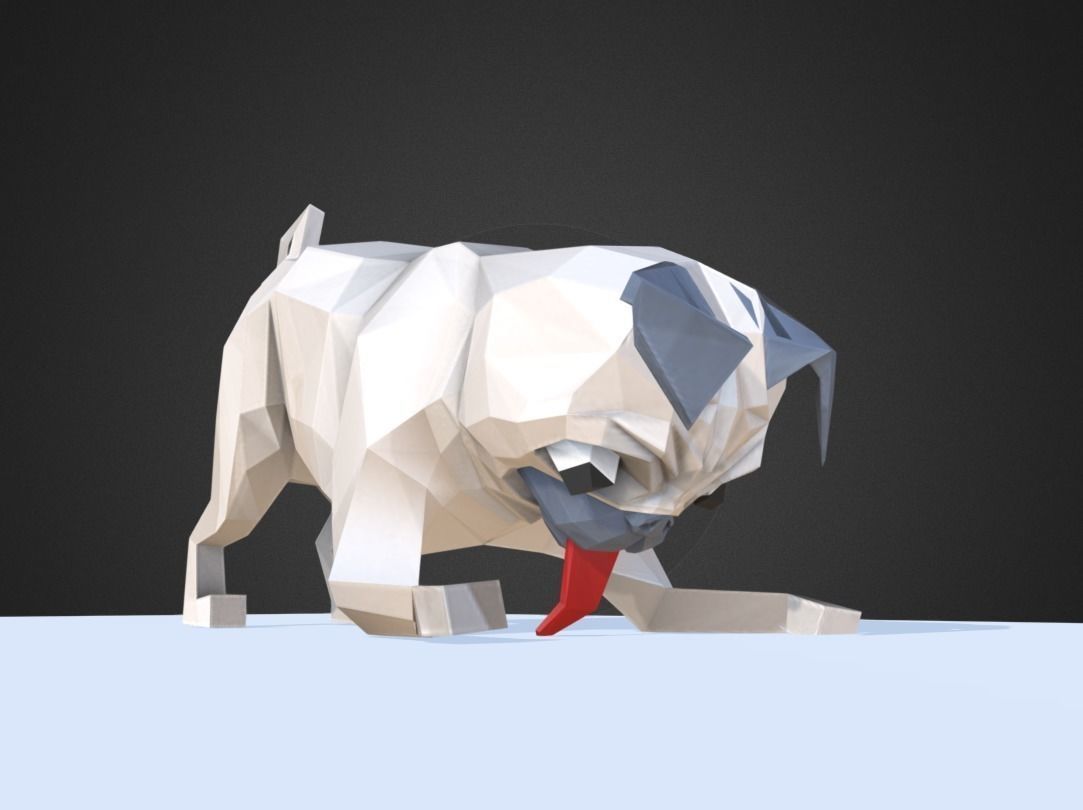 Dog Pug Low-poly 3D model_5