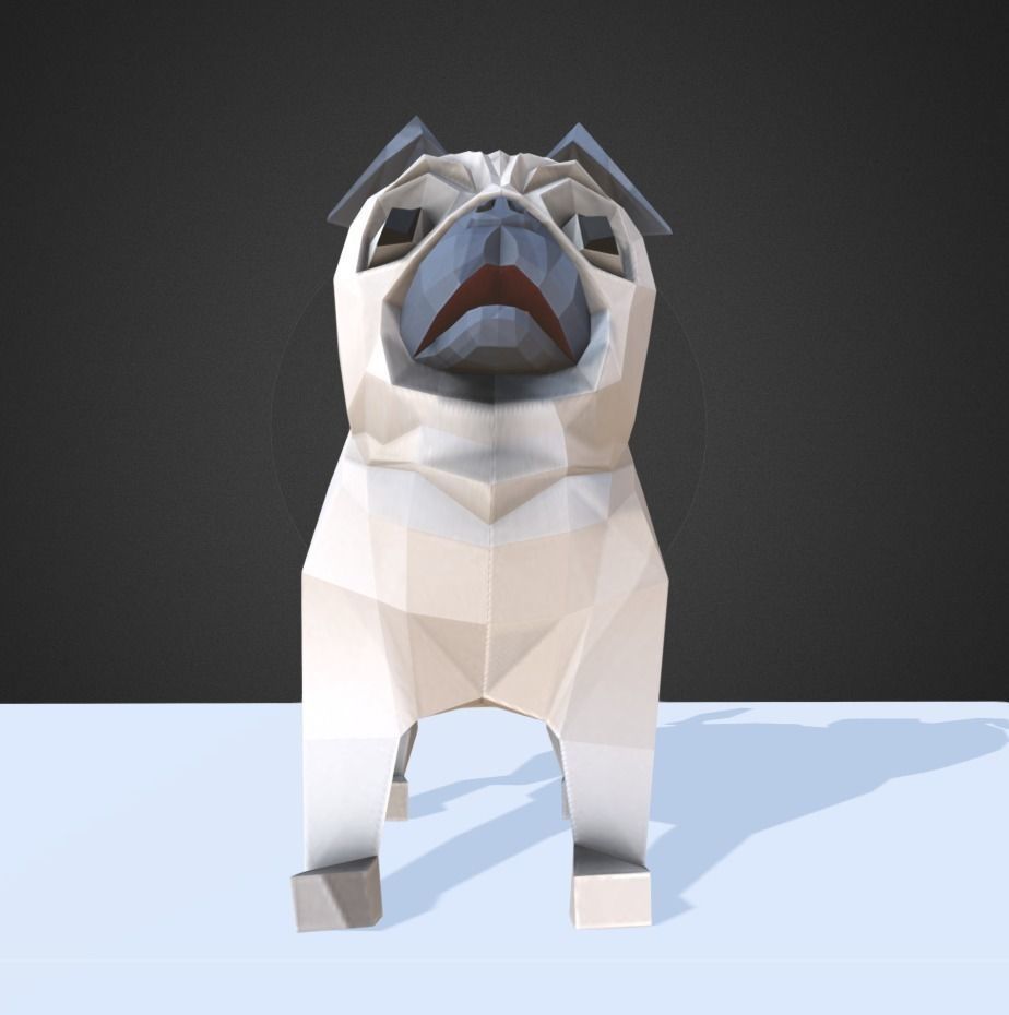 Dog Pug Low-poly 3D model_8