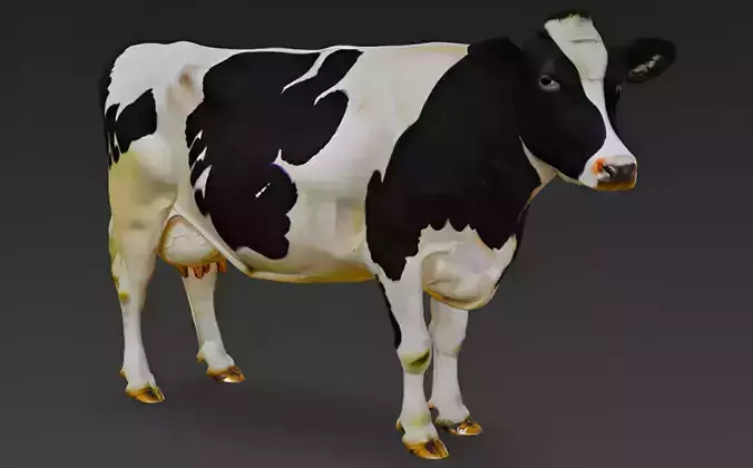 Holstein Cow 3D Model 3D model
