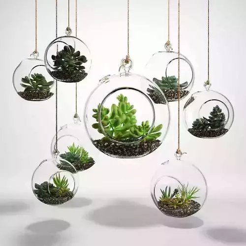 Sedum in a glass bowl 3D model