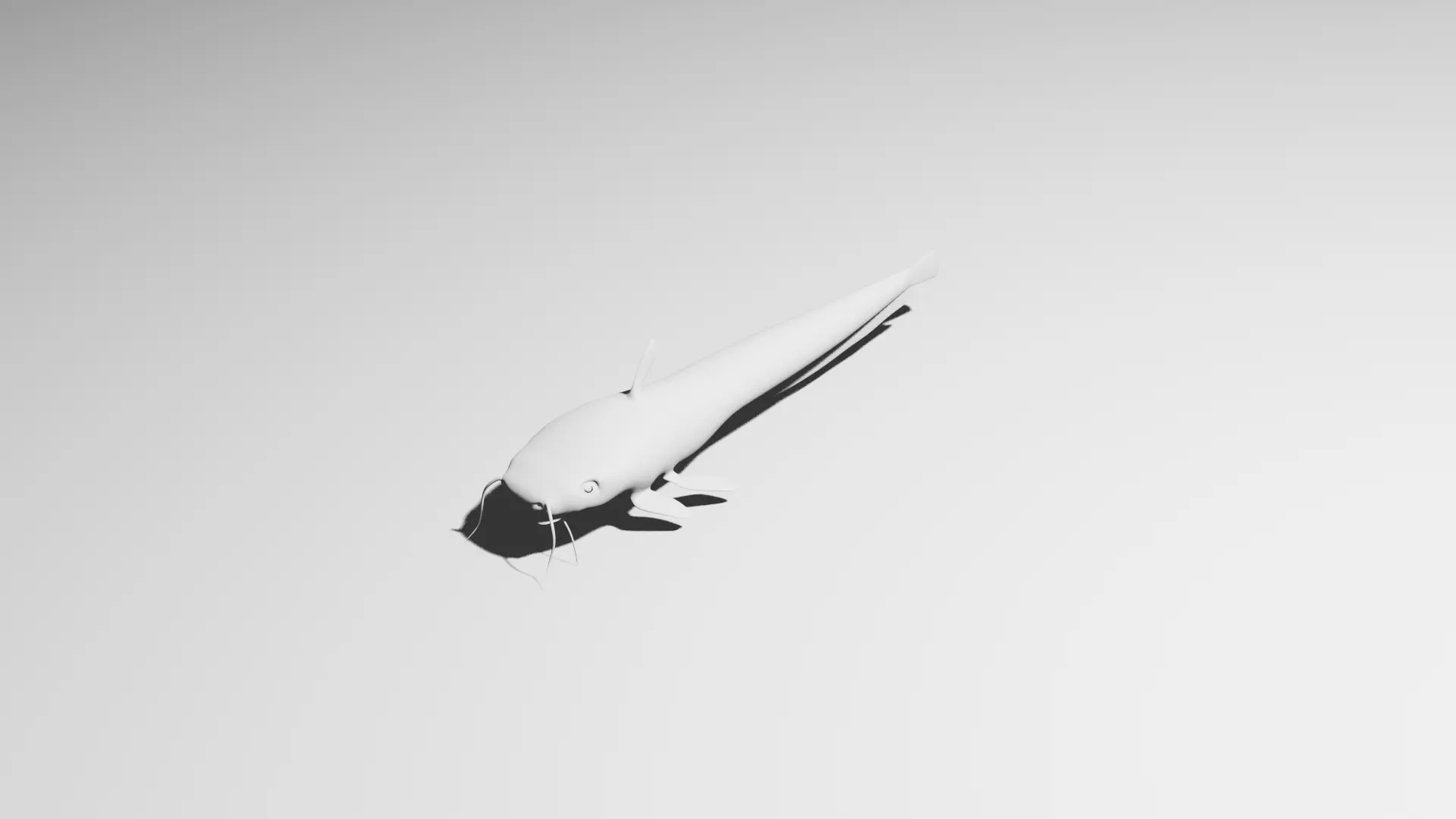 European Wels Fish - Base Mesh Low-poly 3D model_2