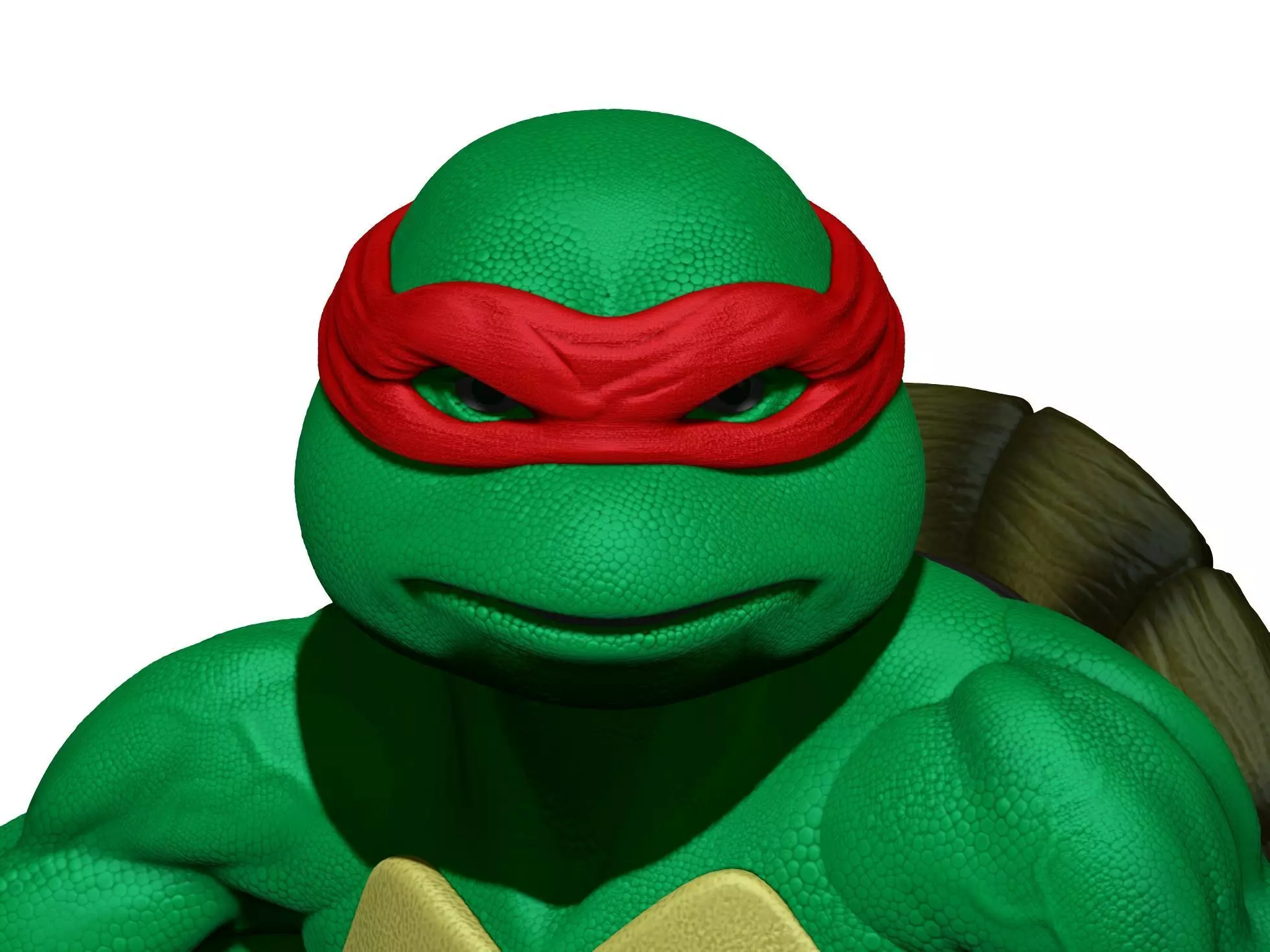 Turtles  Ninja 1990 TMNT STL 3D print model_5