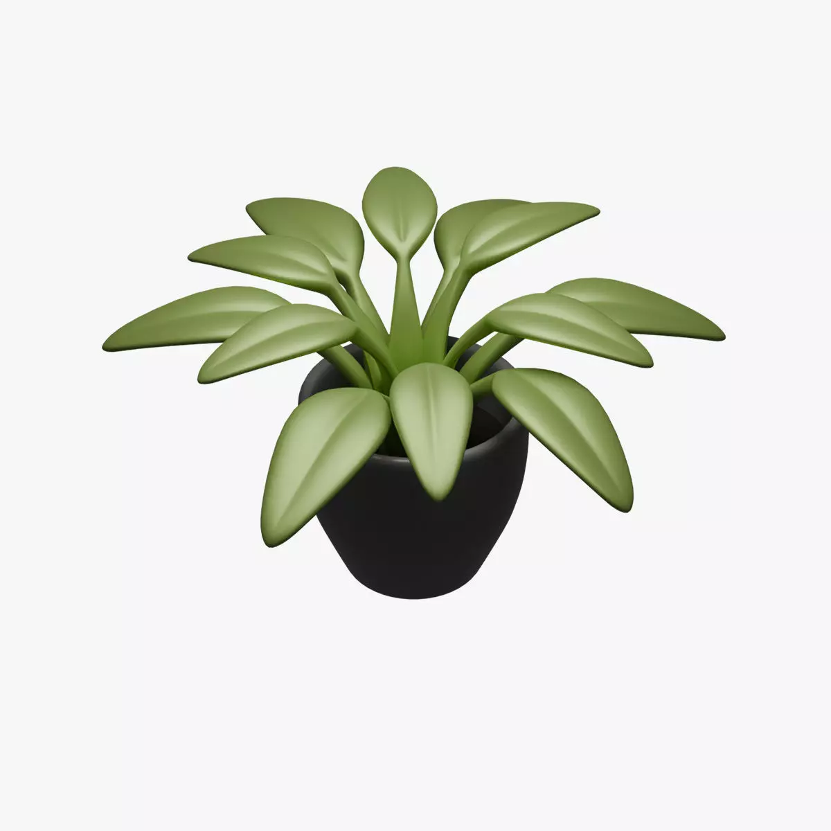 Indoor Stylized Plant 3D model_1