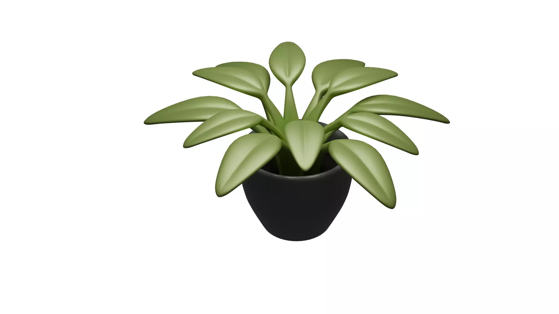Indoor Stylized Plant 3D model_5