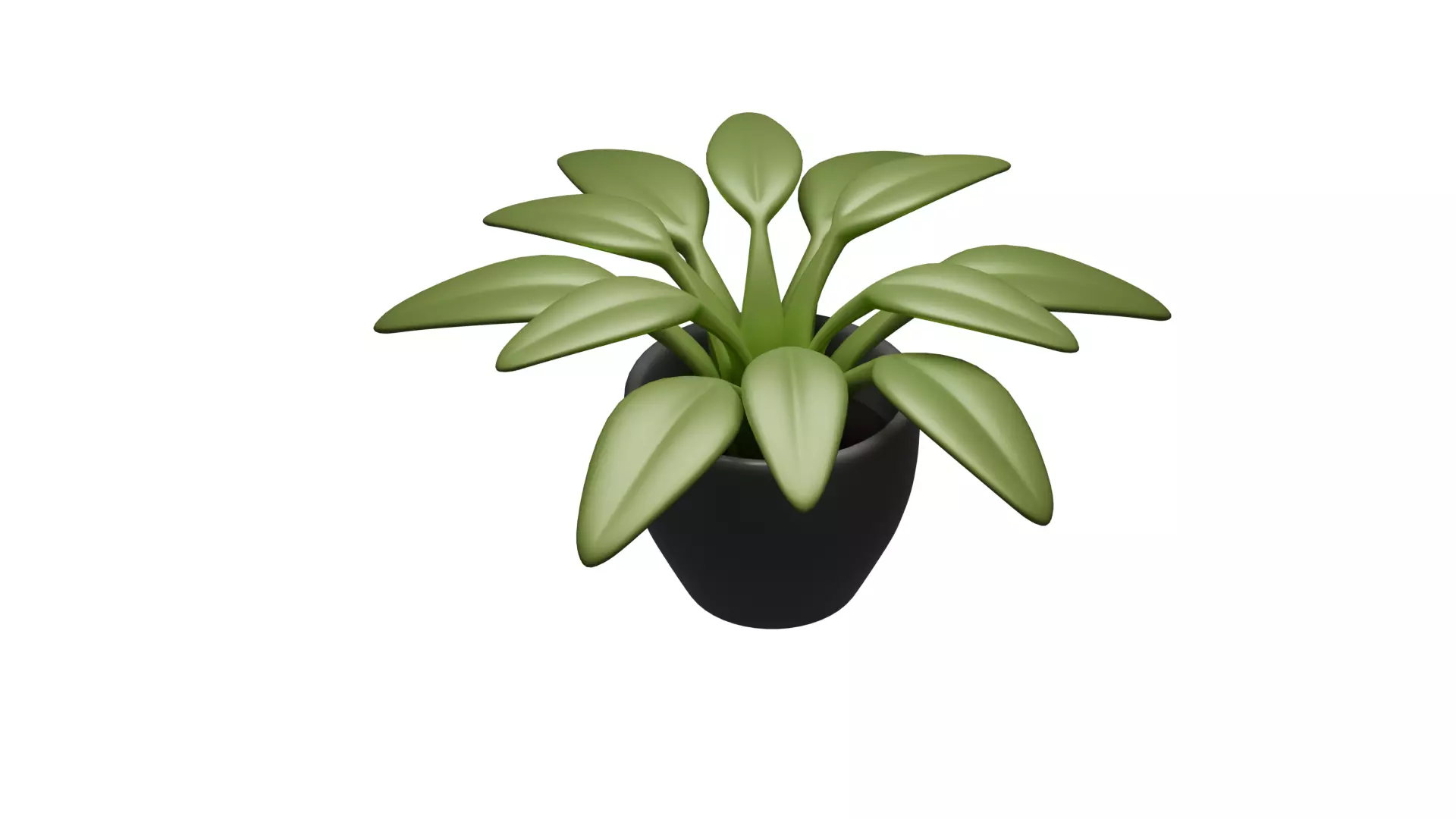Indoor Stylized Plant 3D model_4