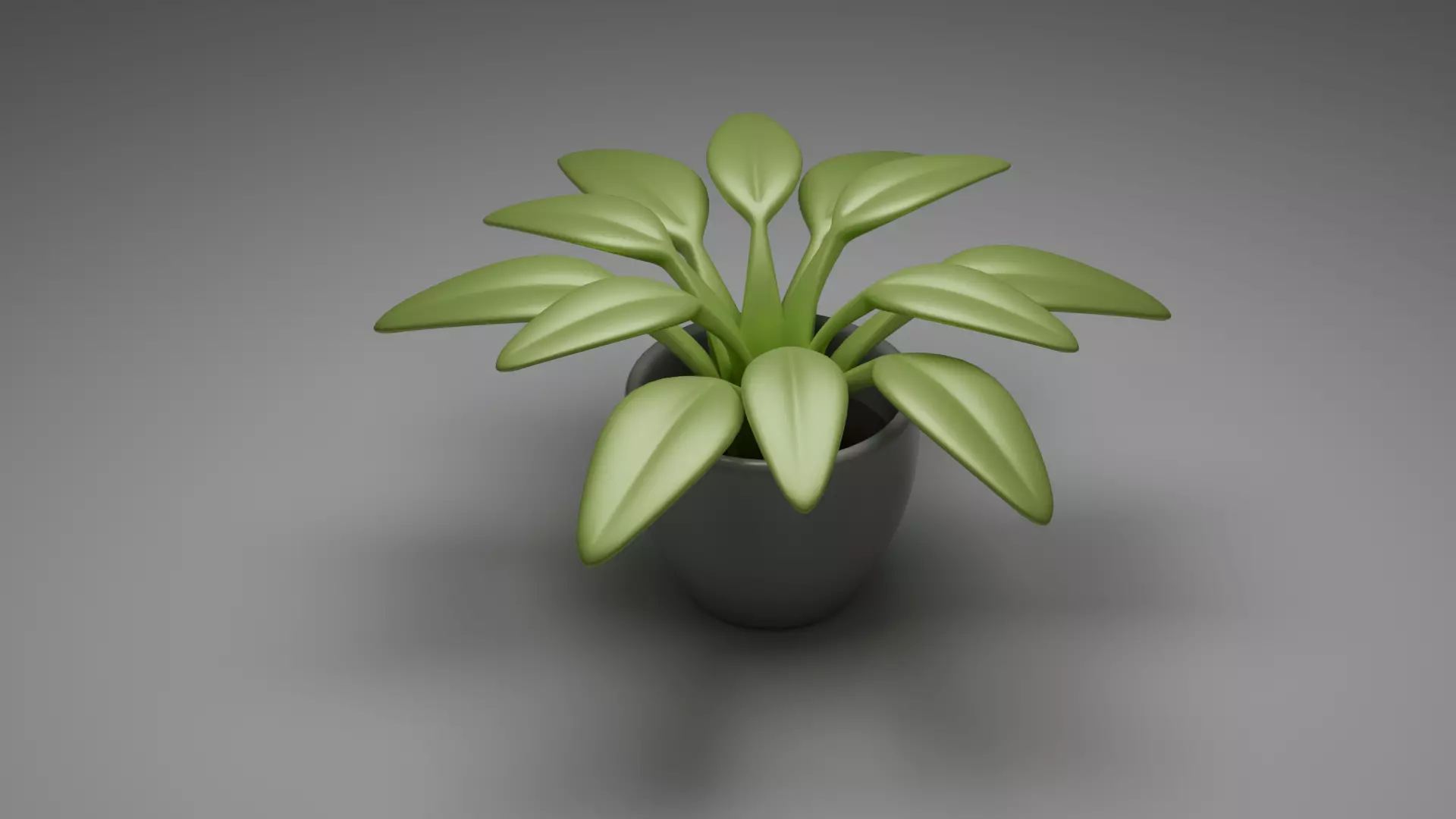 Indoor Stylized Plant 3D model_0