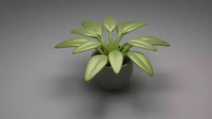 Indoor Stylized Plant