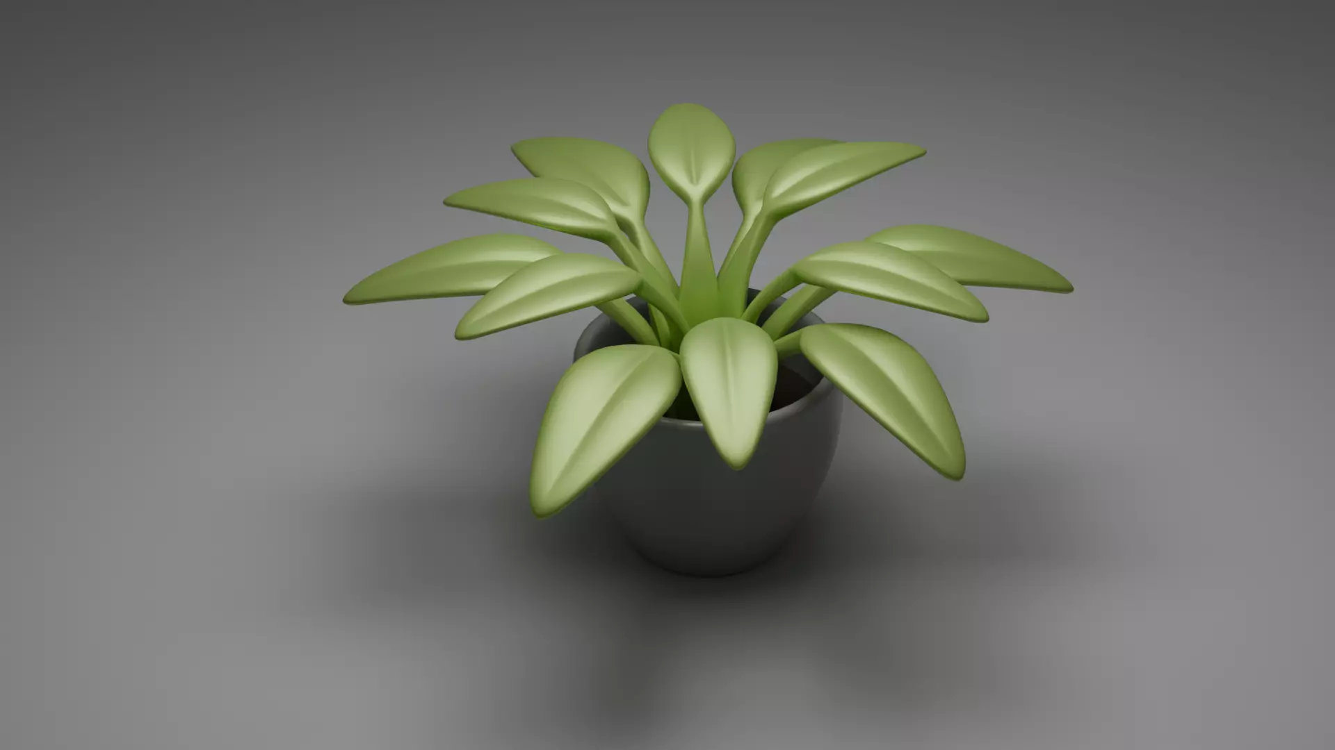 Indoor Stylized Plant 3D model_2