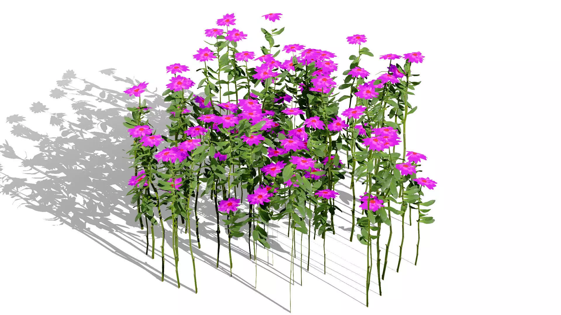 Game Ready Wildflower Foliage Pack Low-poly 3D model