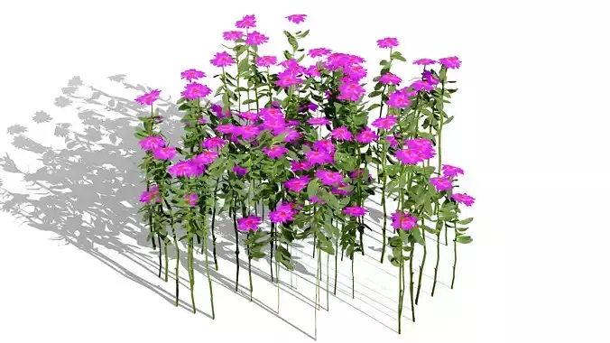 Game Ready Wildflower Foliage Pack Low-poly 3D model