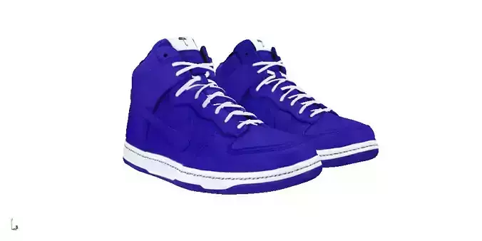 Nike Dunk Ultra rain jacket