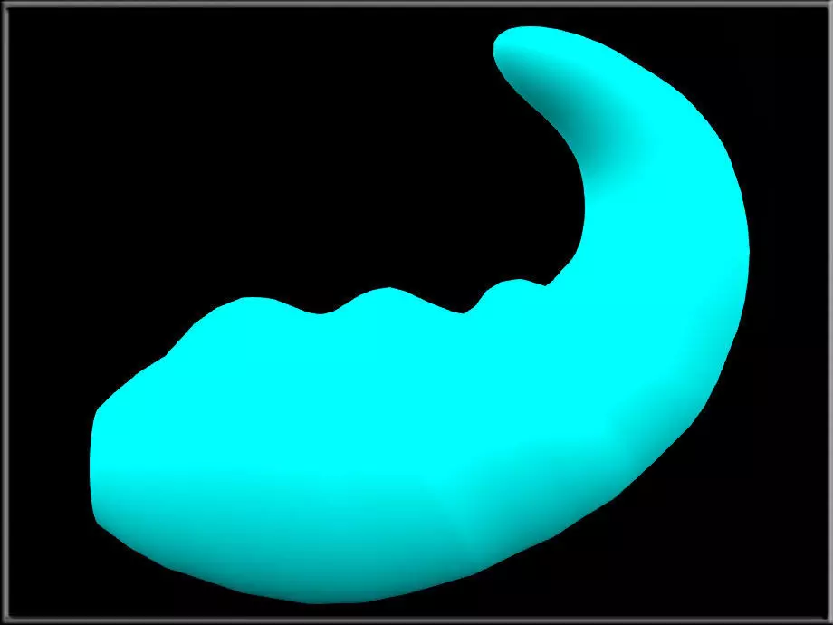 Simple tail 02 Low-poly 3D model_0