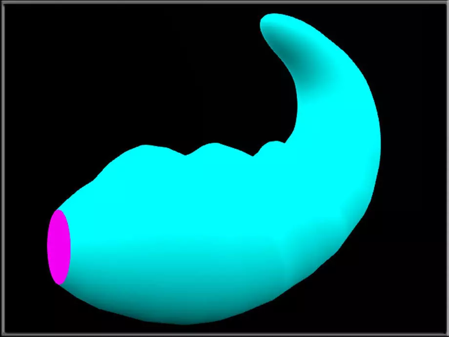 Simple tail 02 Low-poly 3D model_2