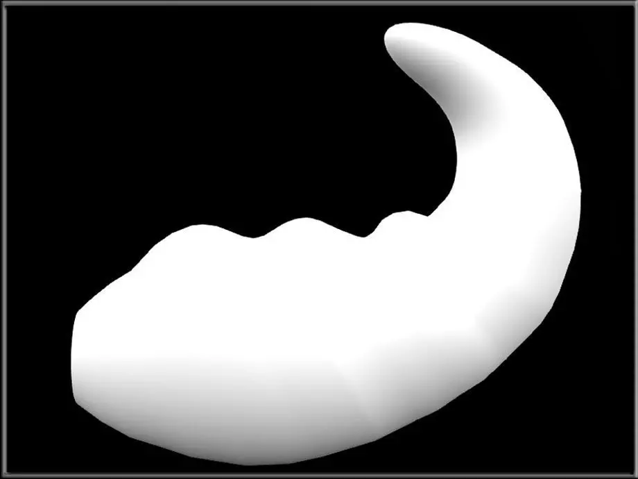 Simple tail 02 Low-poly 3D model_1