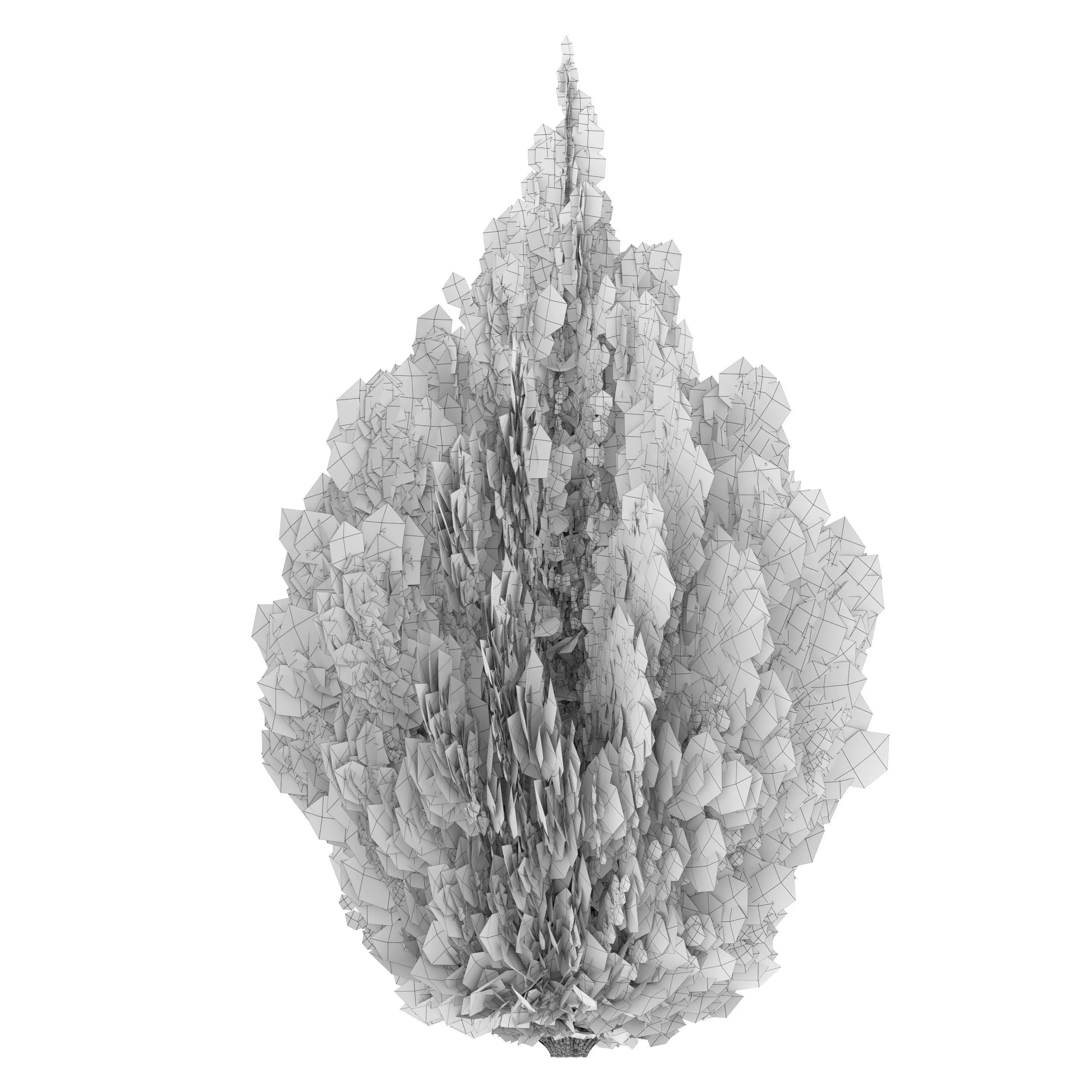 Thuja Aaurea 3D model_5