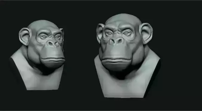 Macaco 3D two chimpanzee heads 3D print model