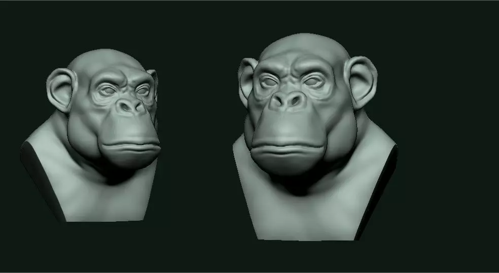 Macaco 3D two chimpanzee heads 3D print model_0