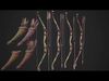Medieval Collection Weapons Archer Bow Arrows Target Quiver  Low-poly 3D model_3