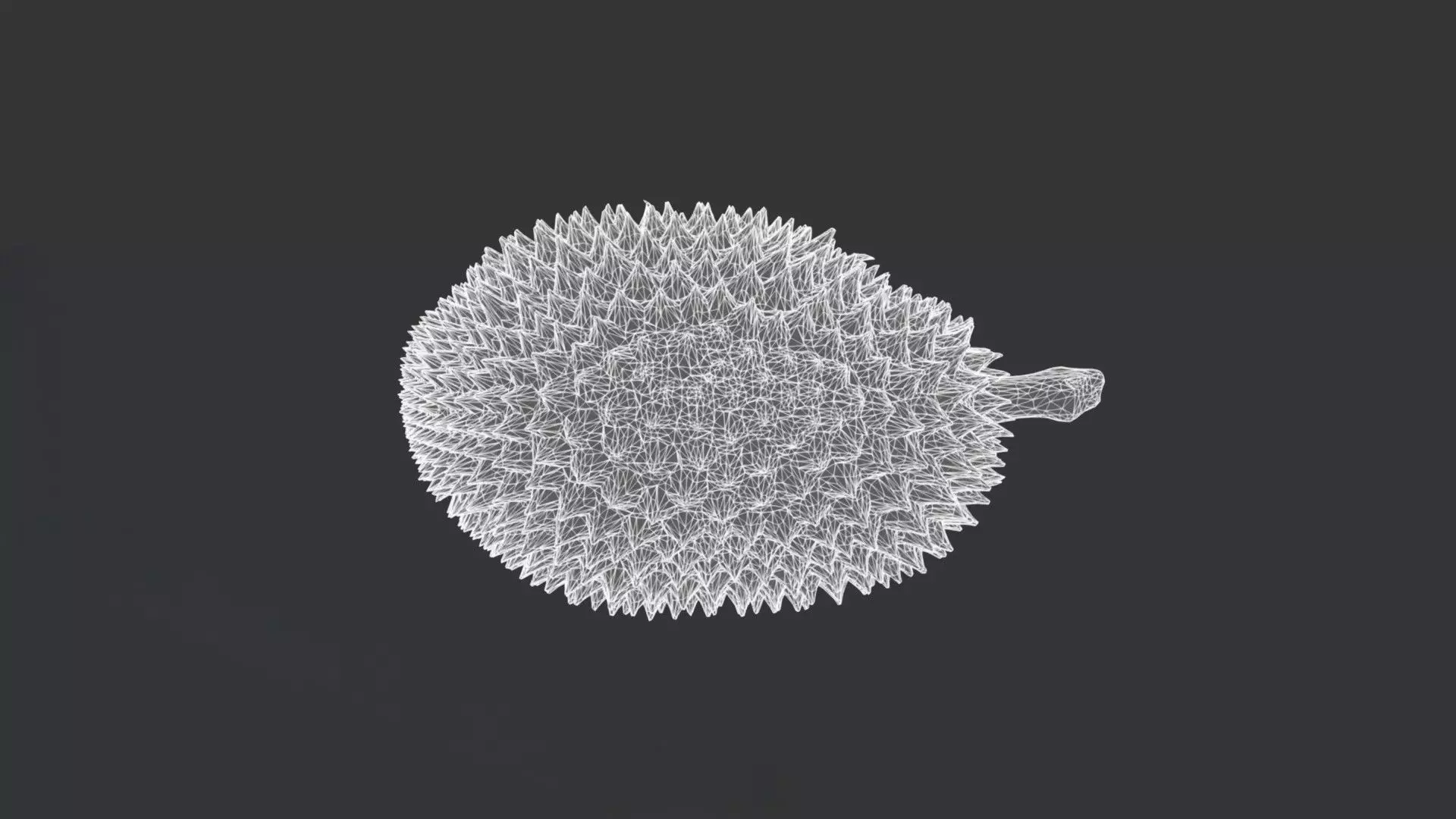 A Durian 3D model_3