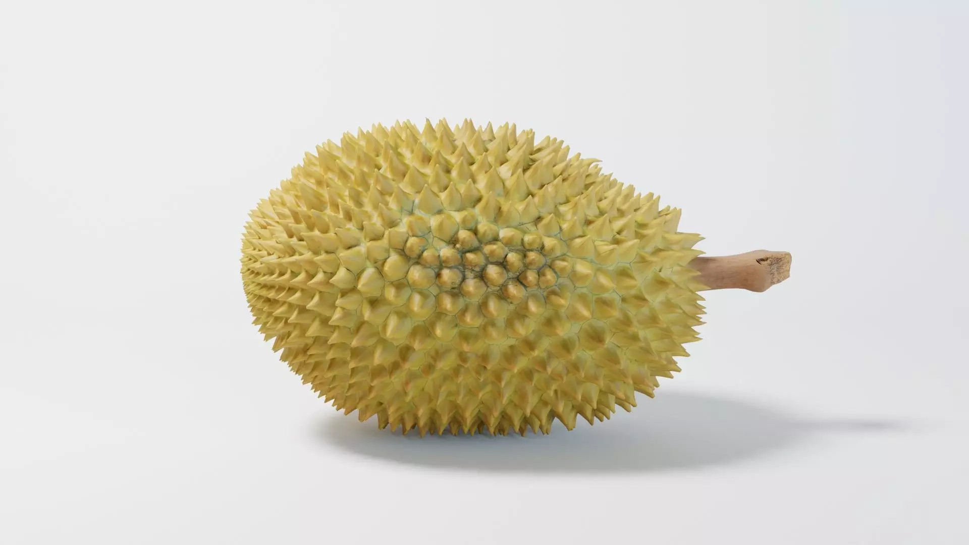 A Durian 3D model_0