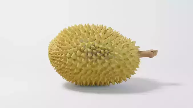 A Durian 3D model