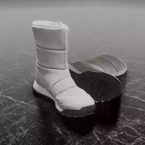 ADIDAS TERREX 3D WINTER BOOTS