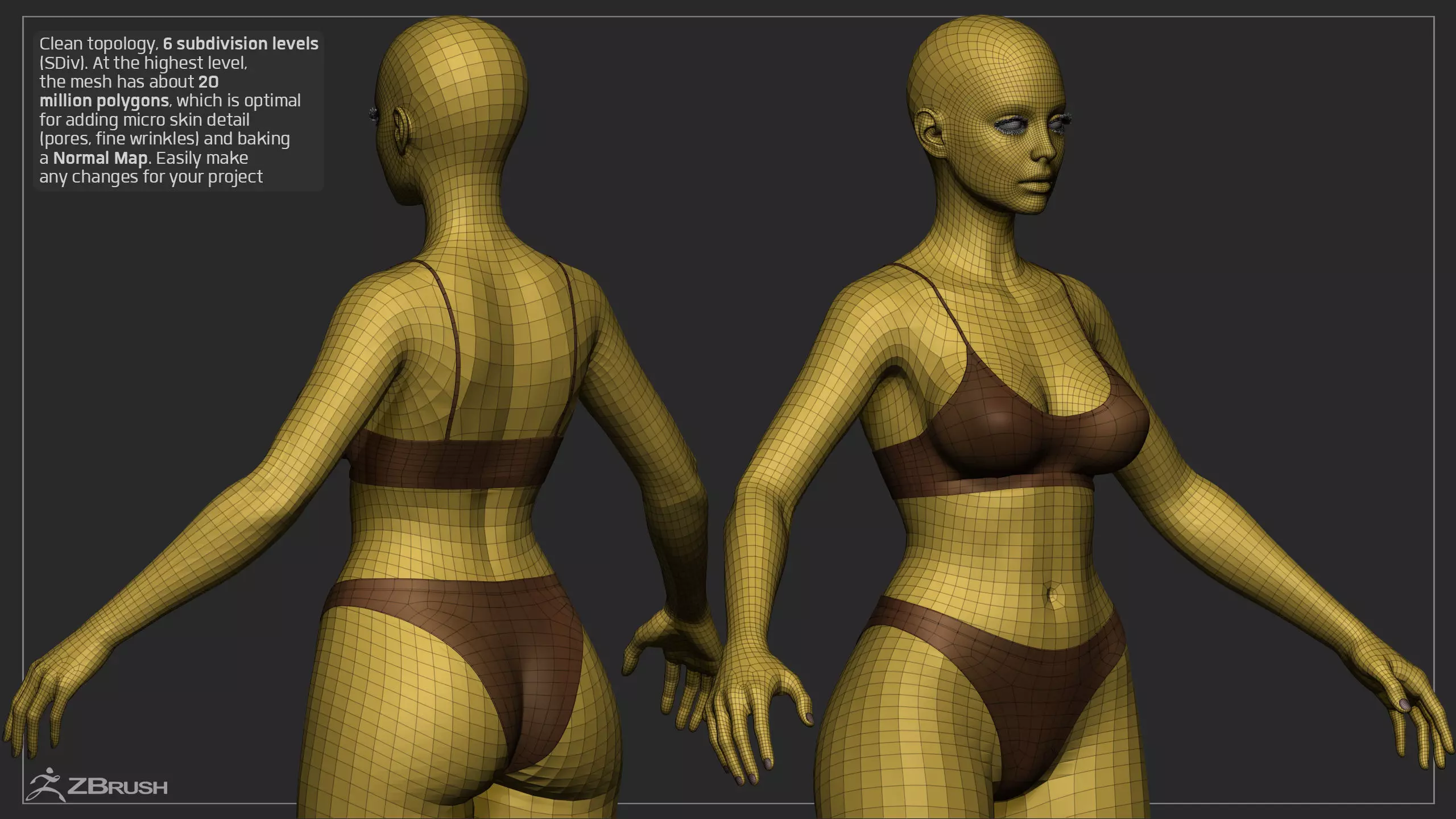 Advanced High Poly Female Basemesh - Body 01 3D model_17