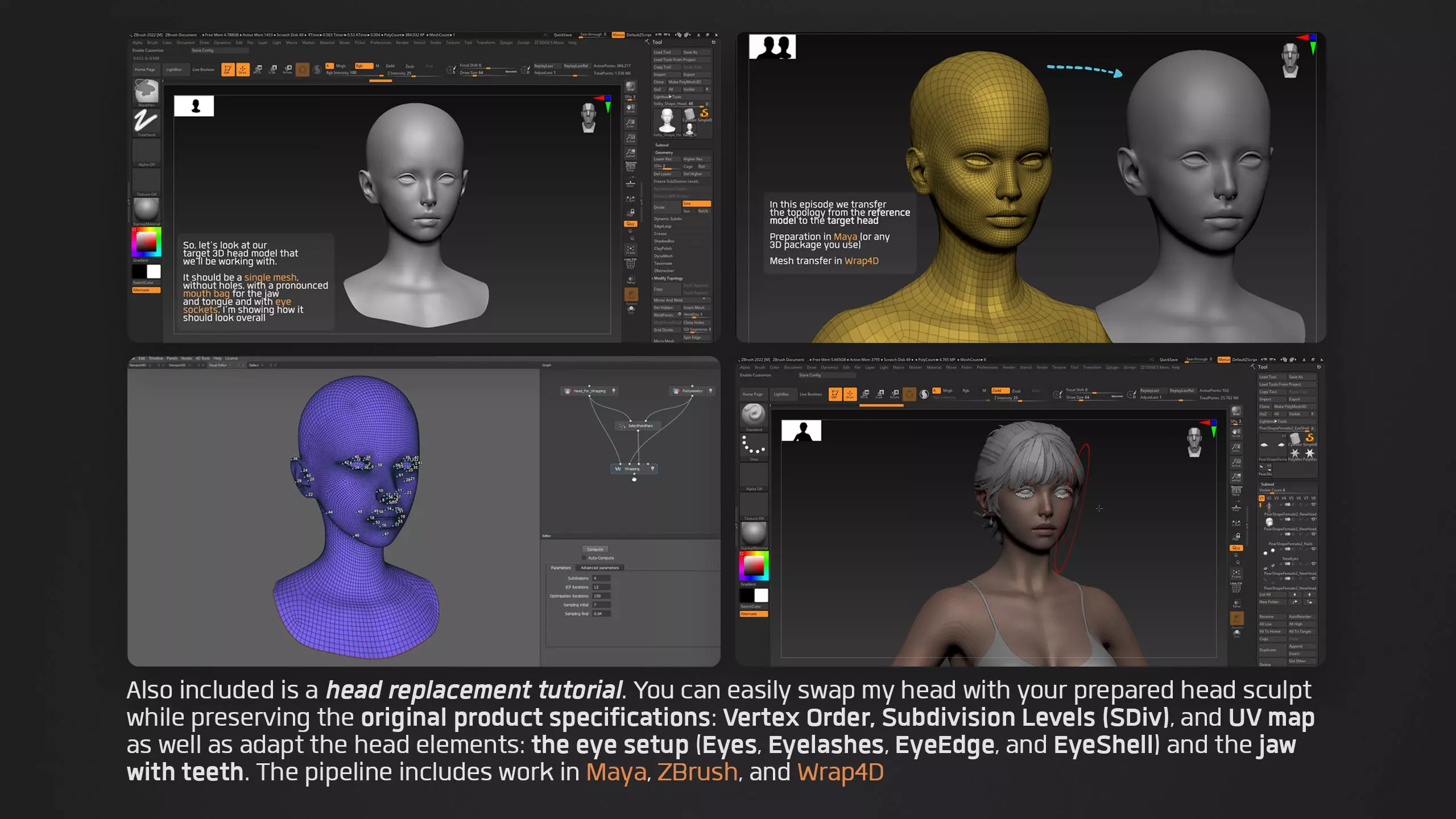 Advanced High Poly Female Basemesh - Body 01 3D model_25