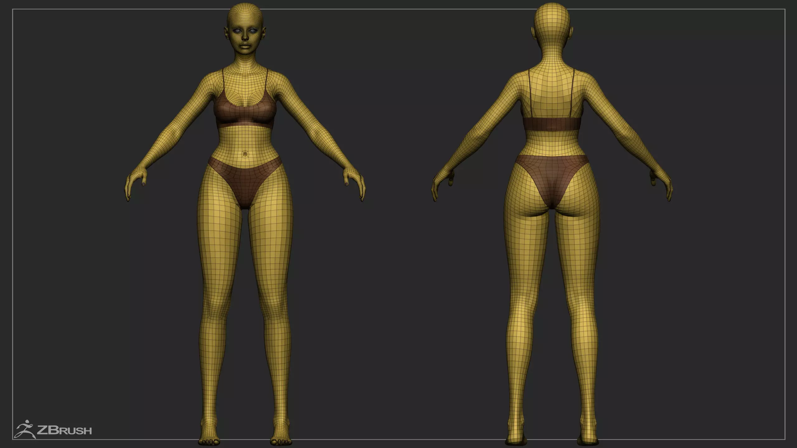 Advanced High Poly Female Basemesh - Body 01 3D model_18