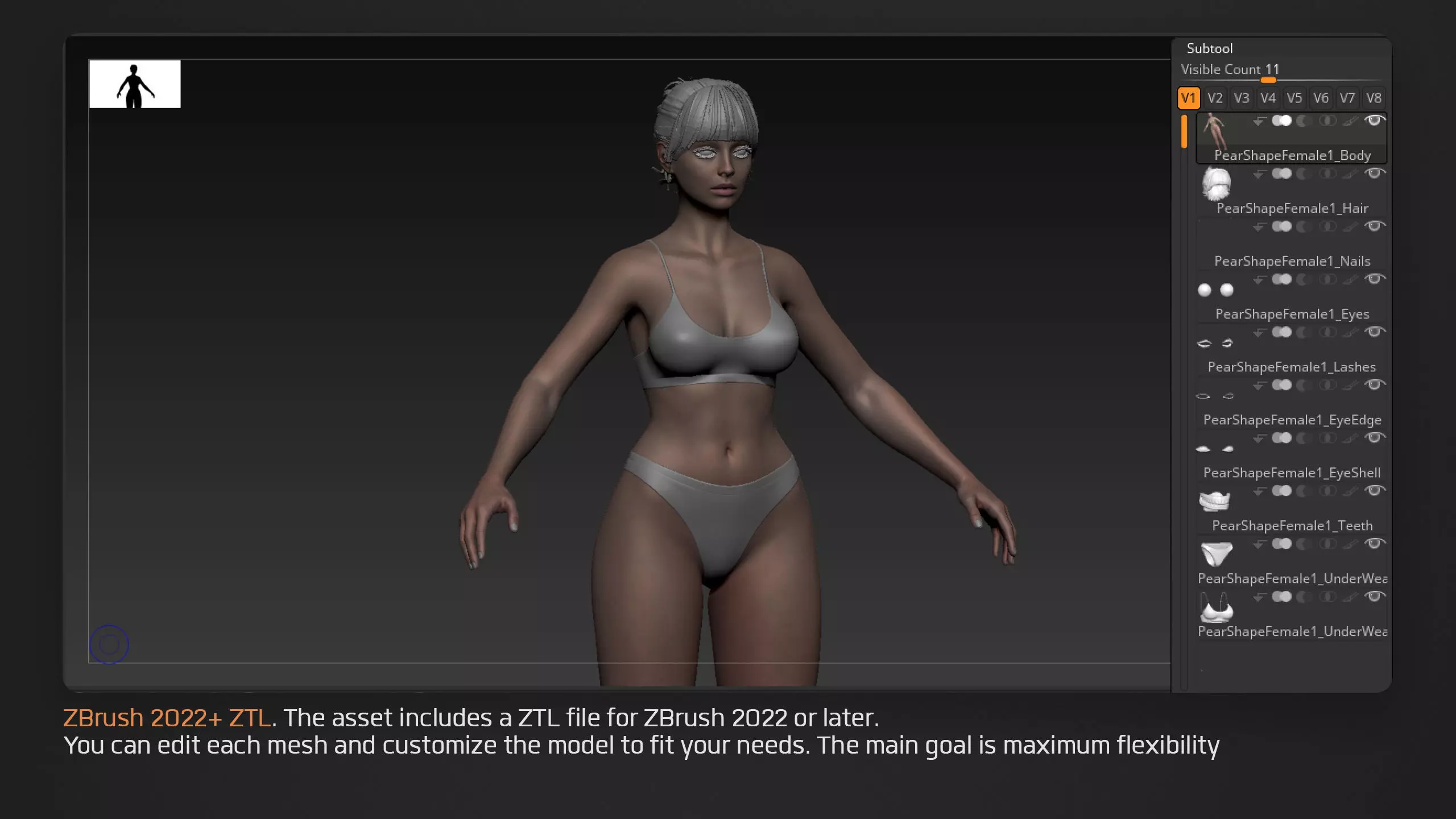 Advanced High Poly Female Basemesh - Body 01 3D model_22