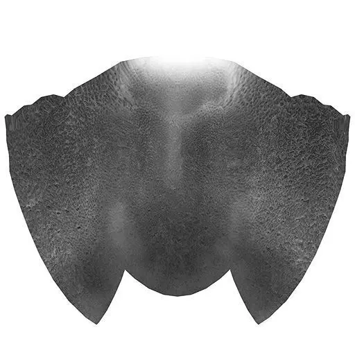 Character The Shadow Enchantress Low-poly 3D model_623