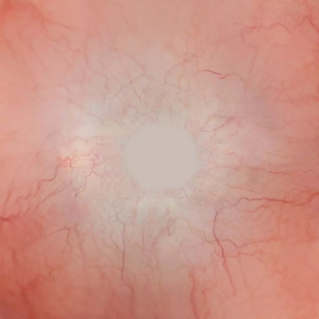 Character The Shadow Enchantress Low-poly 3D model_204