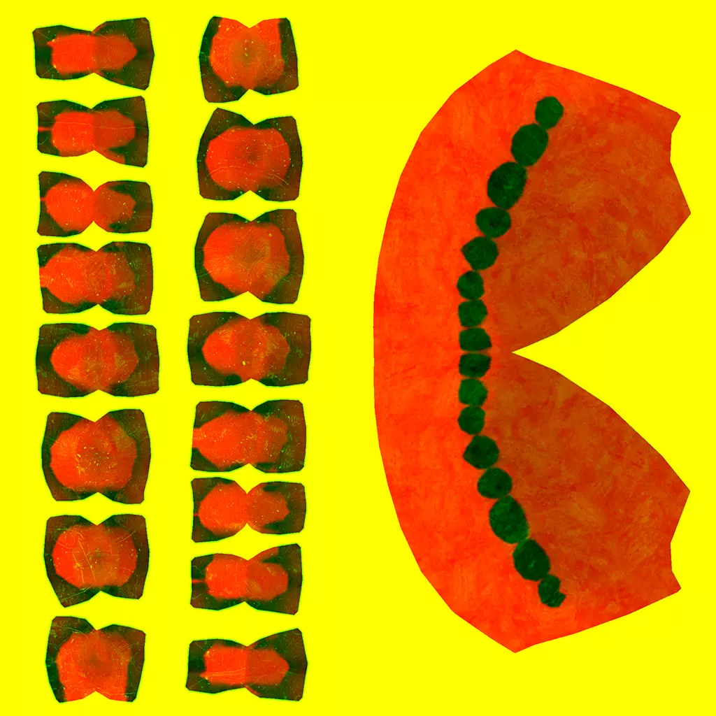 Character The Shadow Enchantress Low-poly 3D model_349