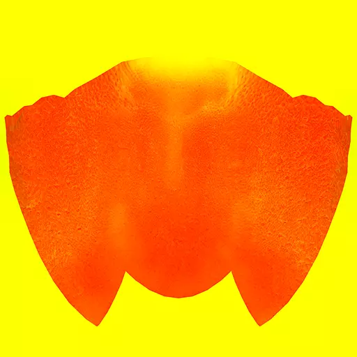 Character The Shadow Enchantress Low-poly 3D model_613