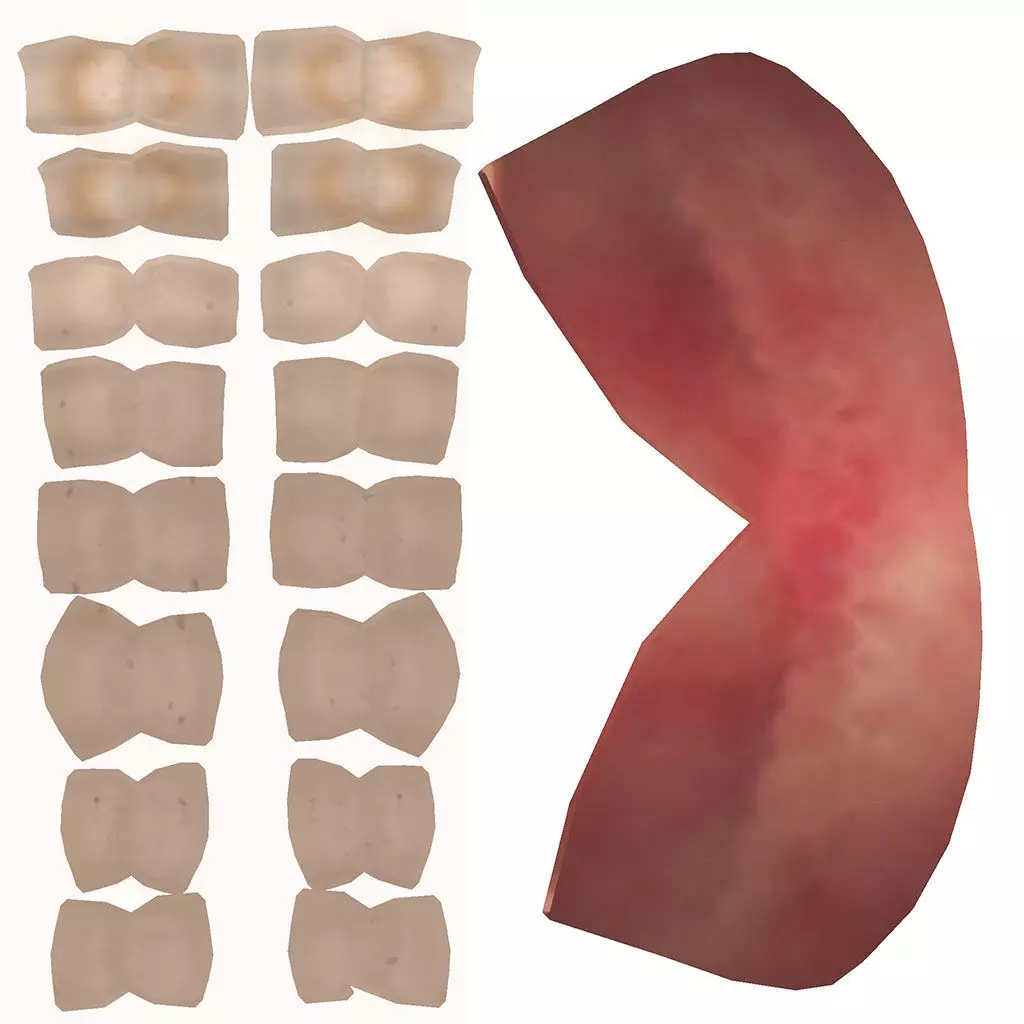 Character The Shadow Enchantress Low-poly 3D model_627