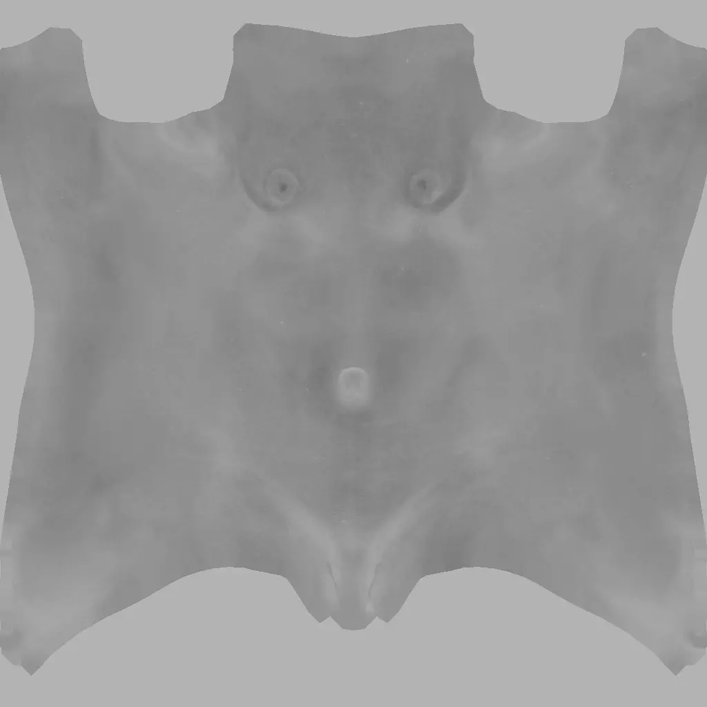 Character The Shadow Enchantress Low-poly 3D model_471