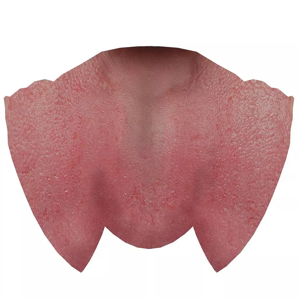 Character The Shadow Enchantress Low-poly 3D model_597