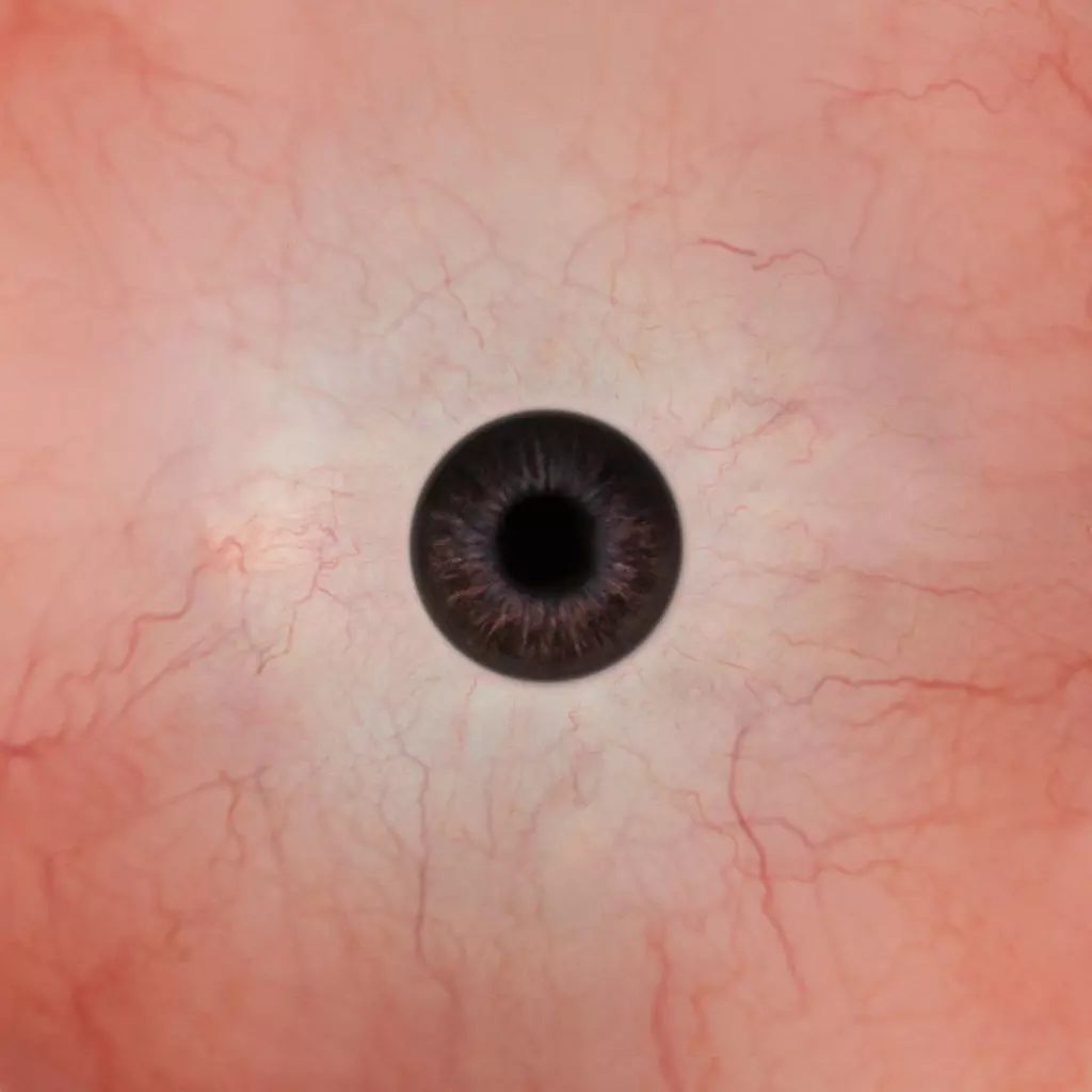 Character The Shadow Enchantress Low-poly 3D model_192