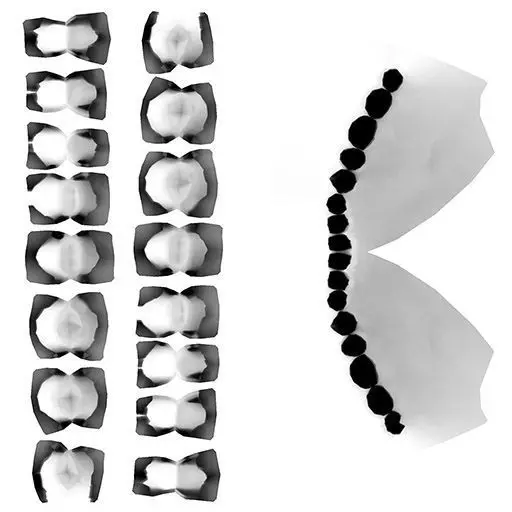 Character The Shadow Enchantress Low-poly 3D model_350