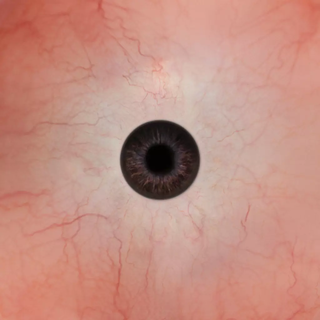 Character The Shadow Enchantress Low-poly 3D model_279