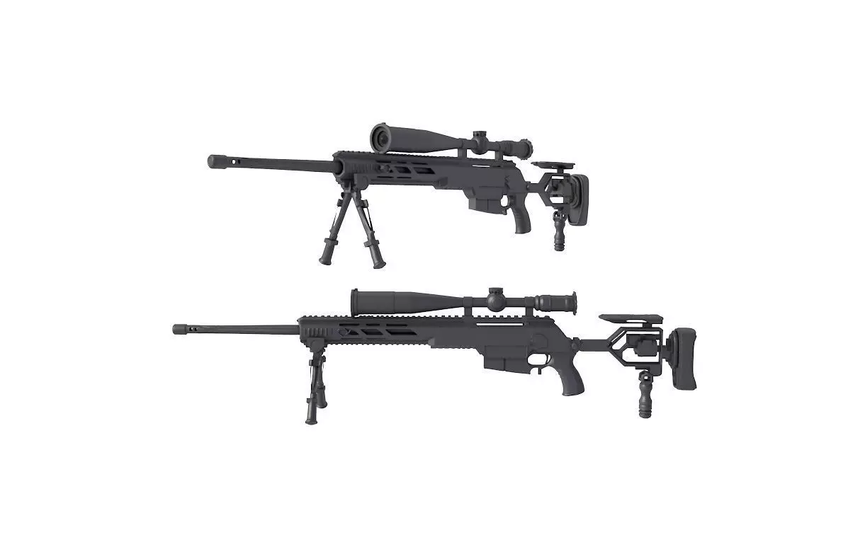 IWI DAN  sniper rifle  3D model_0