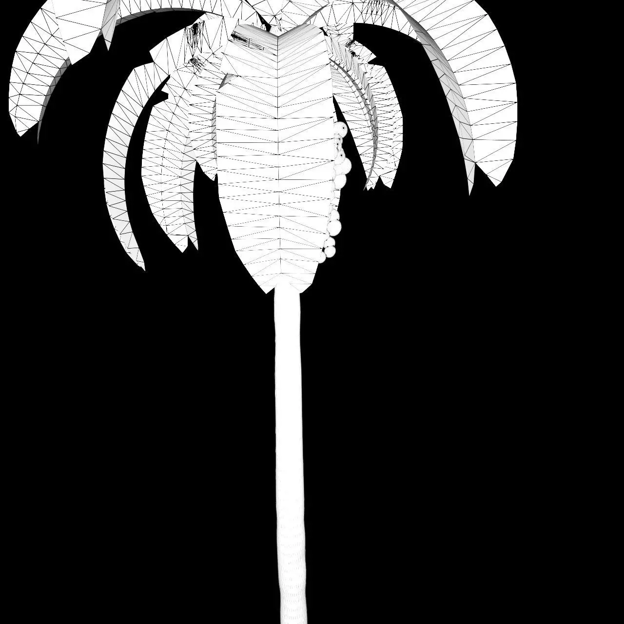 Palmtree 3D model_9
