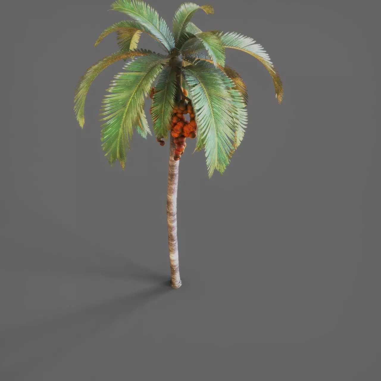 Palmtree 3D model_2