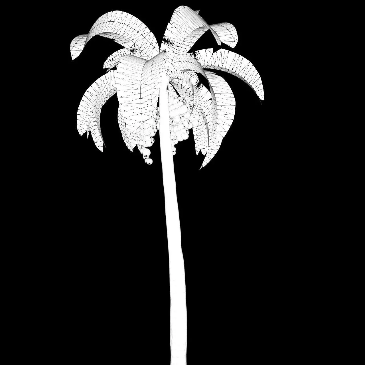 Palmtree 3D model_8