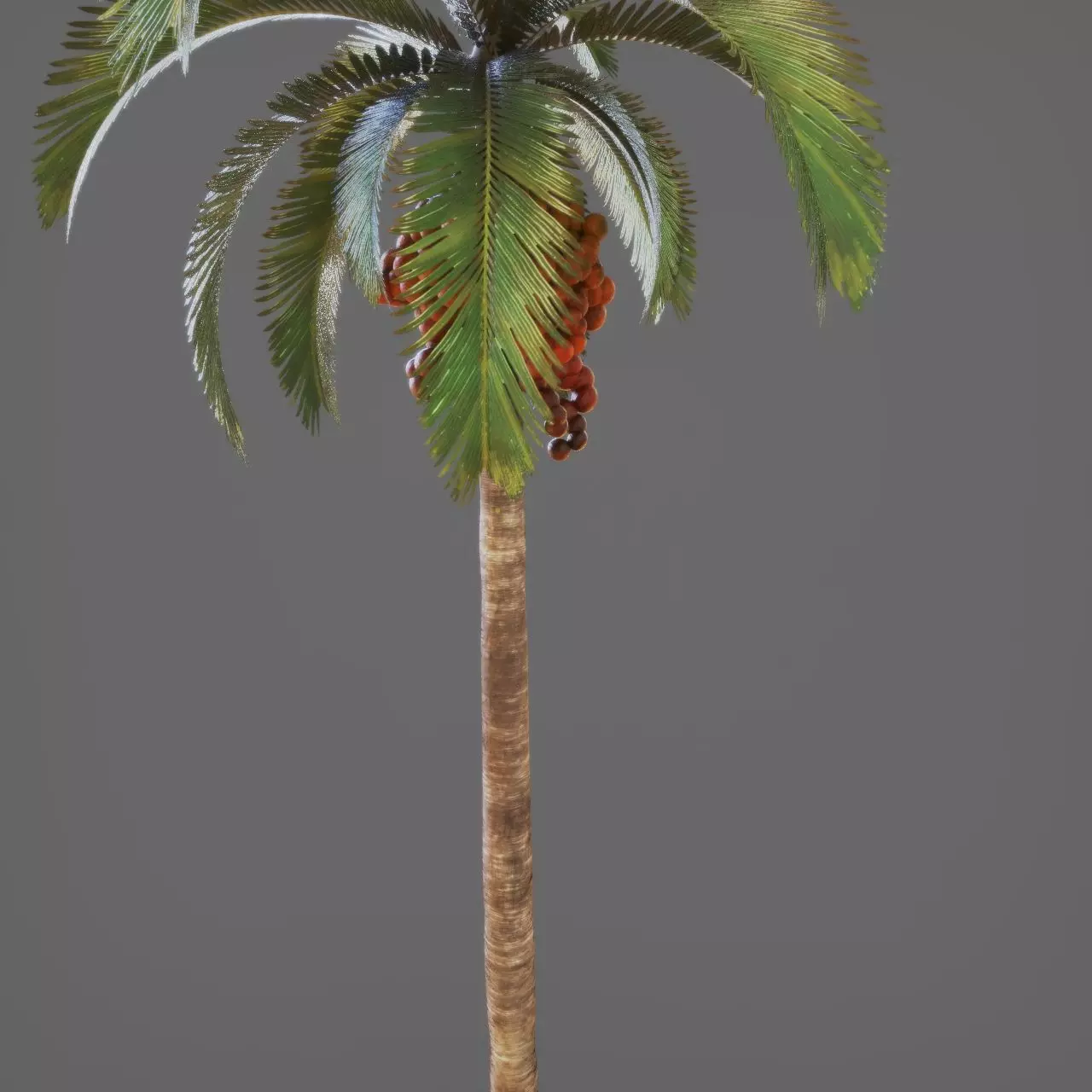 Palmtree 3D model_5