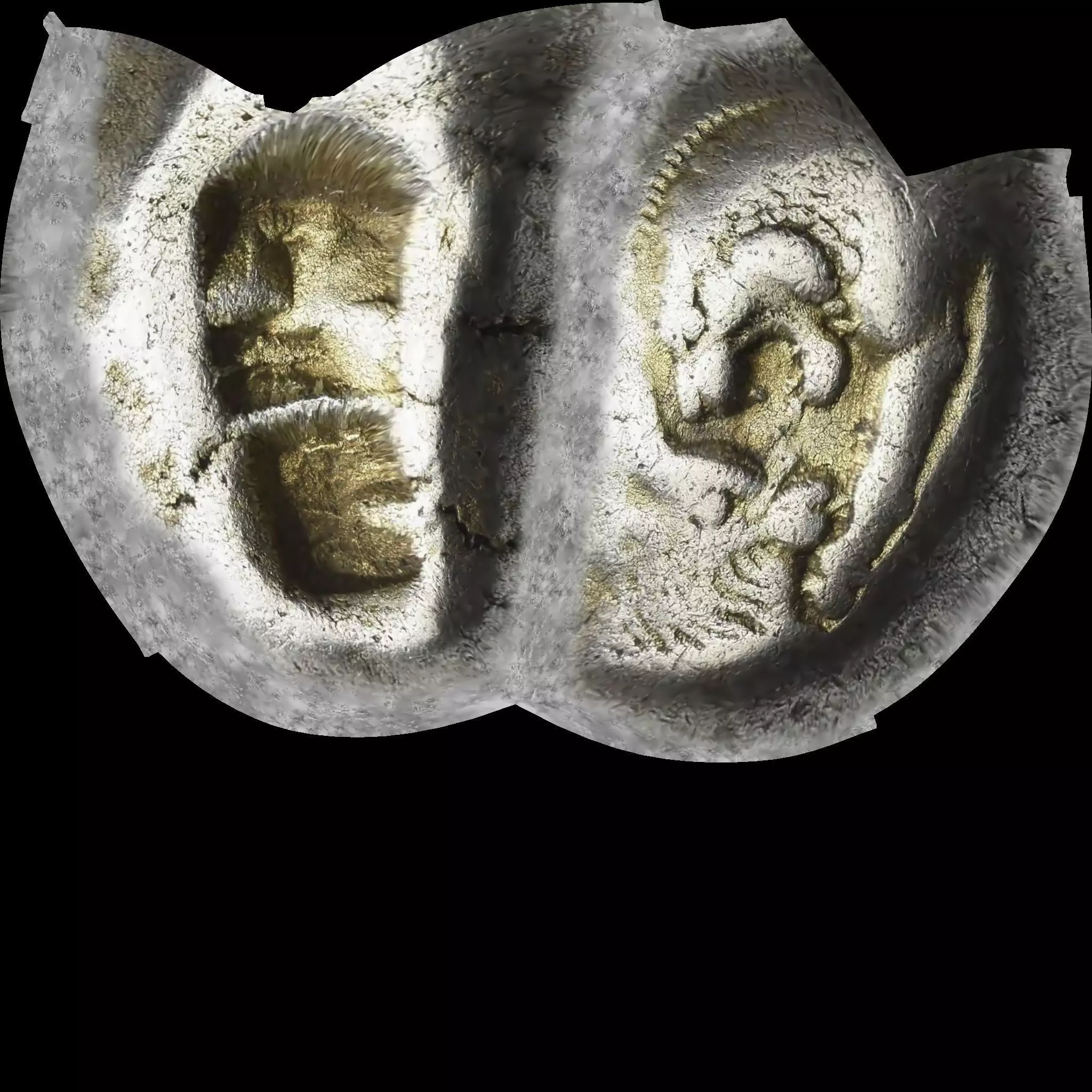 First silver coin king Croesus 3D print model_10